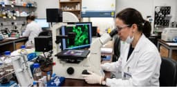 Controle do Herpes com medicamentos é questão de tempo