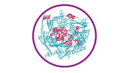 Pesquisadores de Yale desenvolvem vacina experimental promissora contra o herpes genital