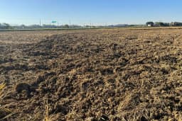 Santa Catarina avança na preparação do solo para a safra de arroz 2026/2027