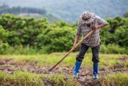 Setor agrícola de Urussanga se destaca com salários acima da média e investimentos em tecnologia