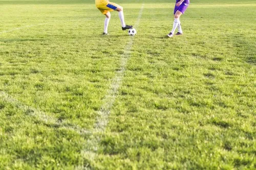 Foto: Mauro Paes Corrêa/PB/IA MS