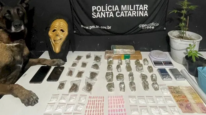 Polícia Militar desarticula ponto de tráfico e apreende grande quantidade de drogas em Itajaí